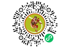 赛事预告匹克球爱好者看过来！12月的广西将迎来两场匹克球大赛(图4)