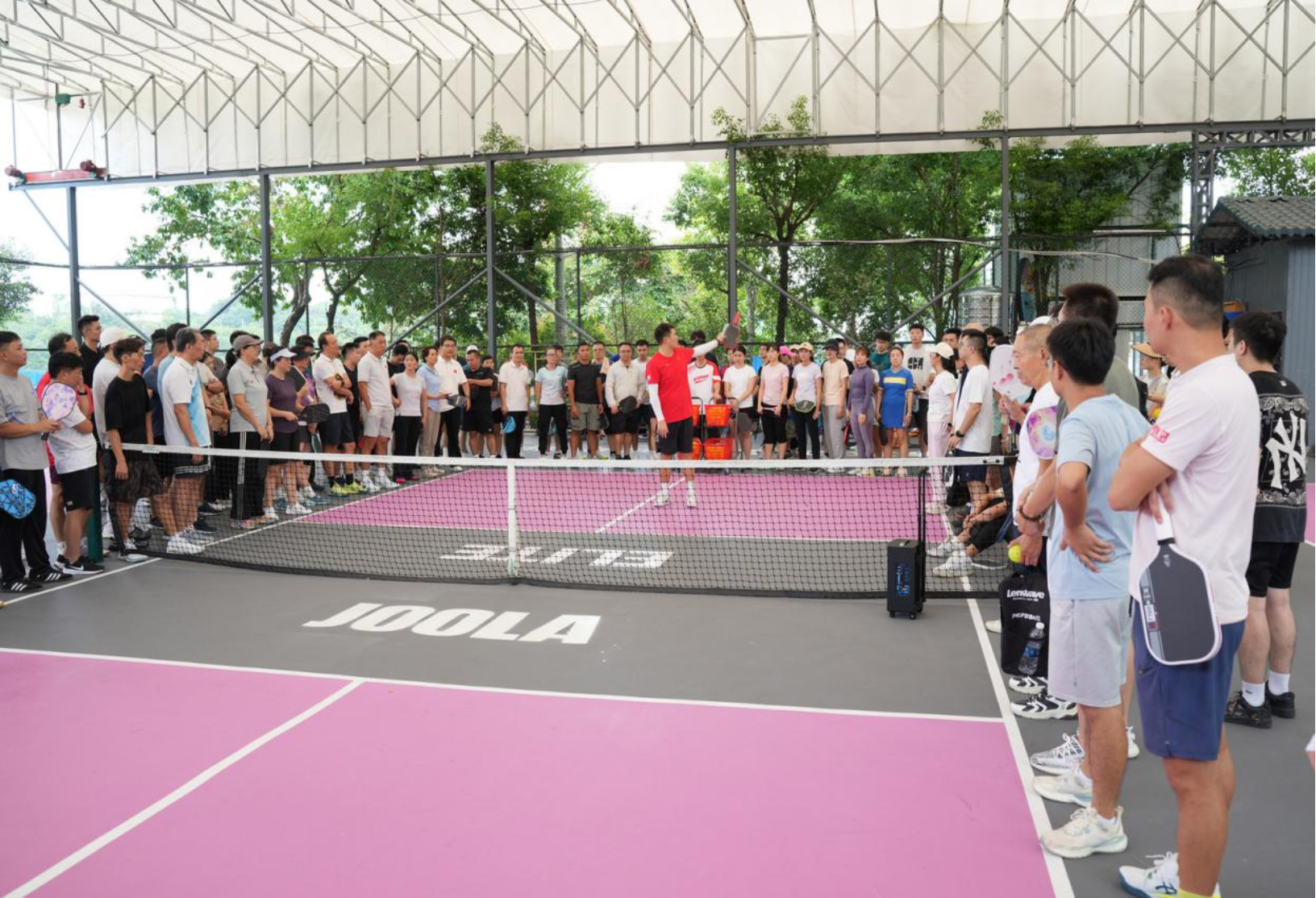 2025年全区第二期匹克球二级社会体育指导员培训班成功举办(图2)