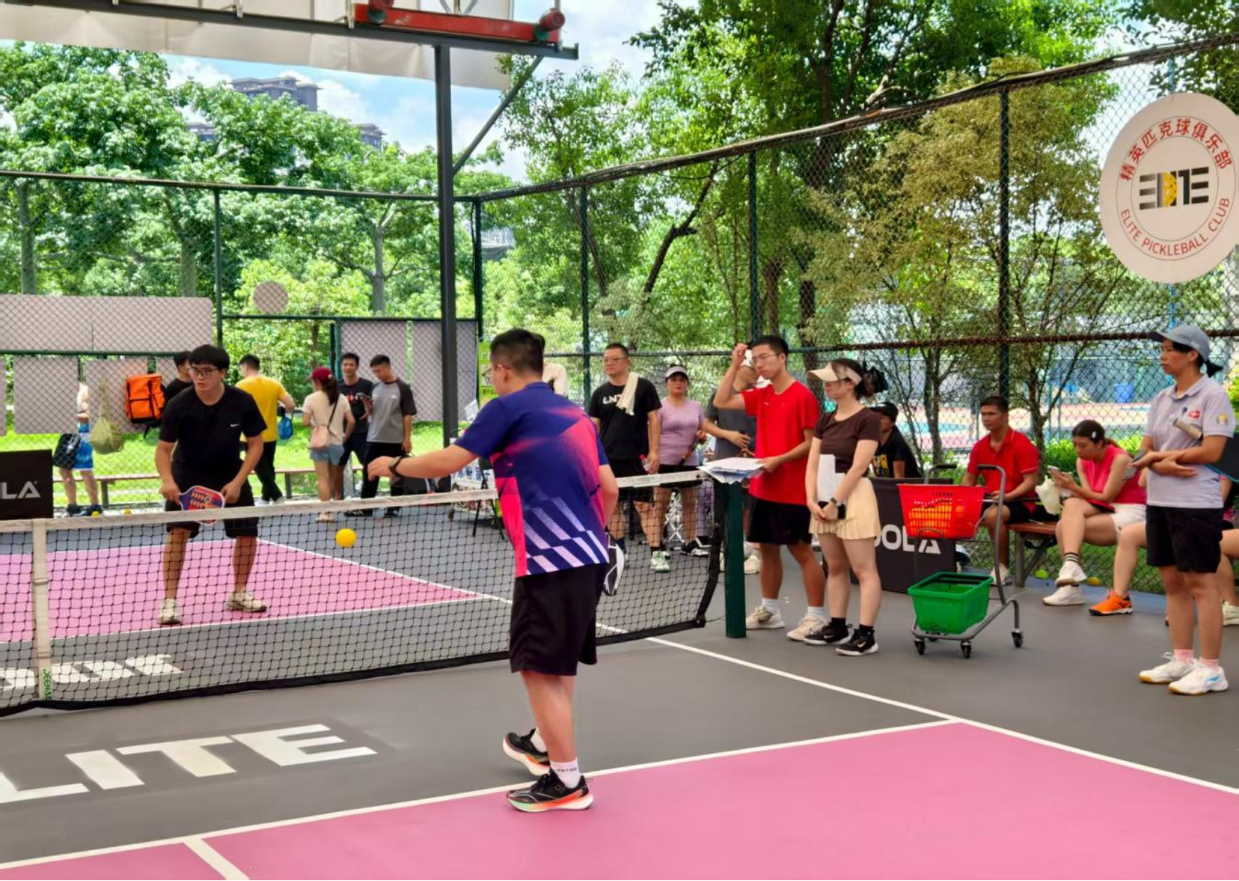 2025年全区第二期匹克球二级社会体育指导员培训班成功举办(图4)